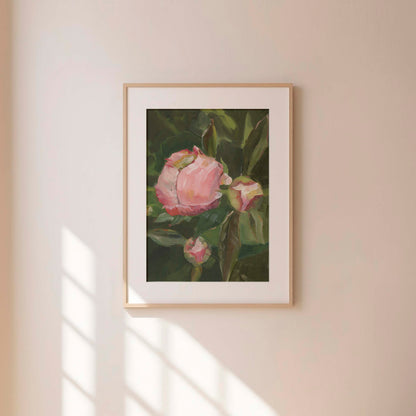 Pink Peony Buds on Green Leaves - Floral Art Print
