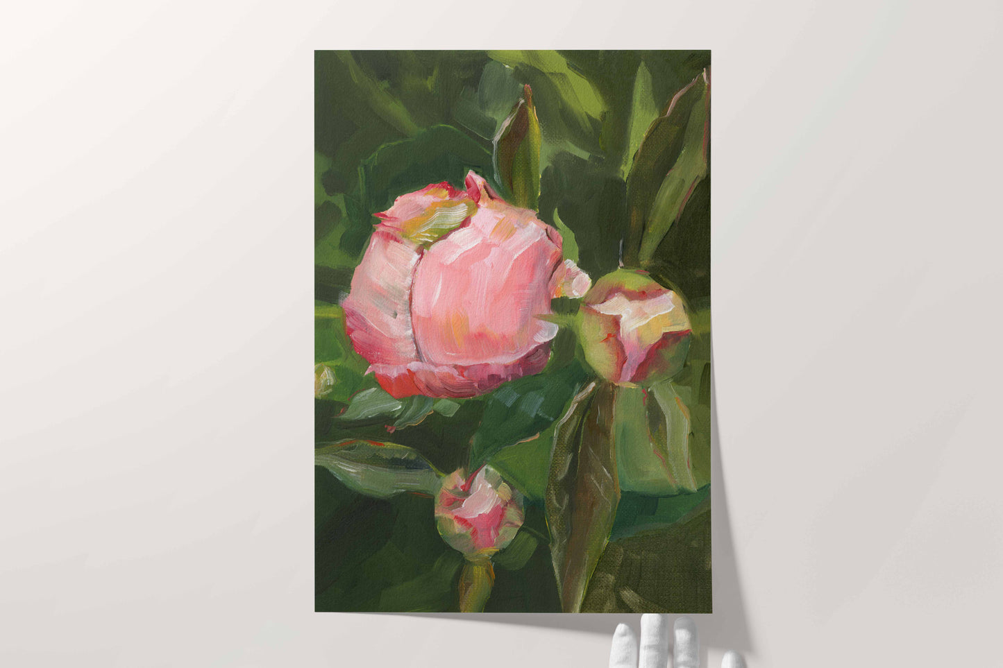 Pink Peony Buds on Green Leaves - Floral Art Print
