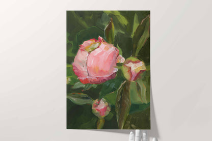 Pink Peony Buds on Green Leaves - Floral Art Print