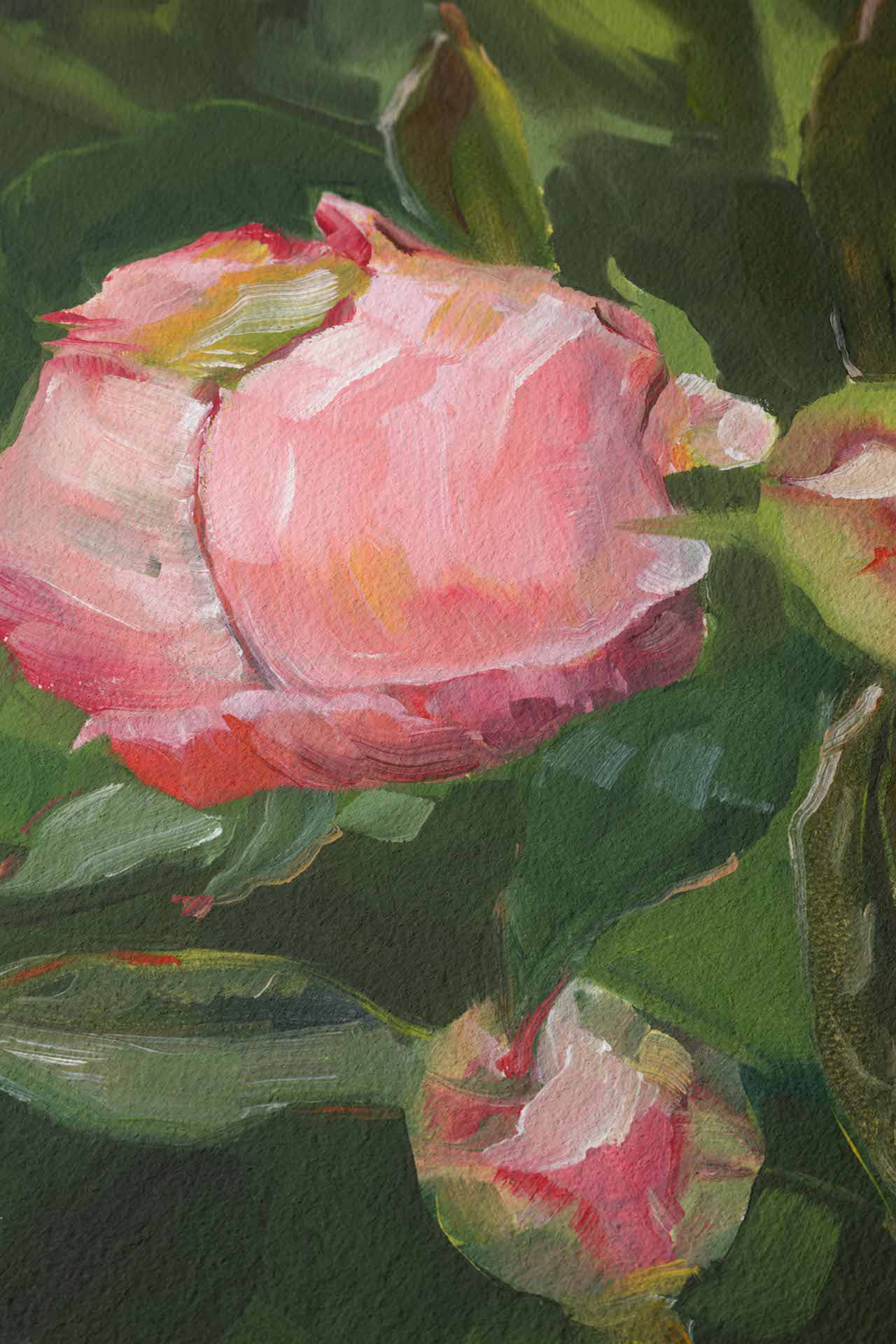 Pink Peony Buds on Green Leaves - Floral Art Print