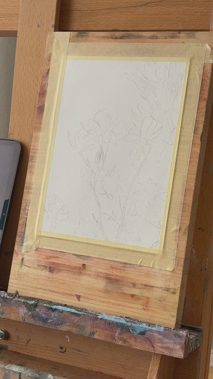 Day 9 - Daily Painting Challenge - Sweet Magnolia