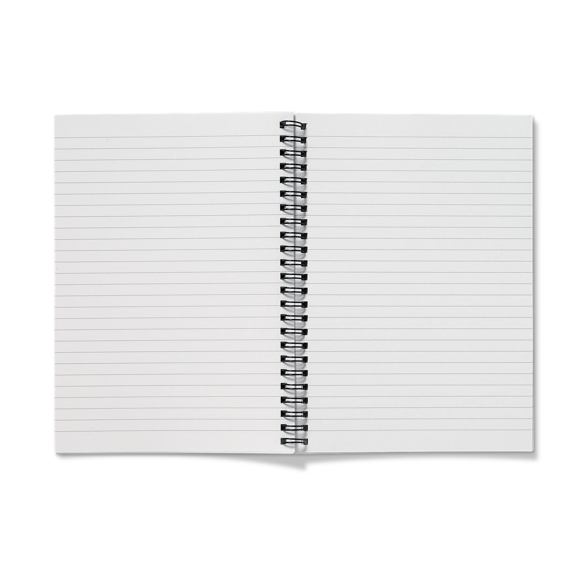 Echinacea Illustration Notebook